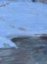 1750253-alb-69f05b4d5b0db.jpg