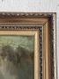 1755025-alb-69fb00c0c3a89.jpg