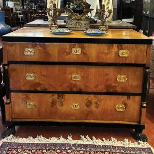 Antique Biedermeier Chest Of Drawers Circa 1910 In Burr Walnut Veneer, With Ebonized Accents