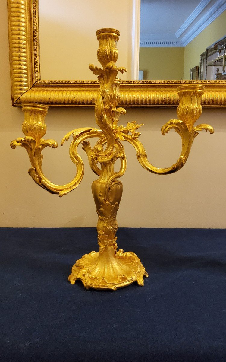 Pair Of Candelabra In Chiselled And Gilded Bronzes Louis XV Style Signed Colin XIX Cty-photo-2