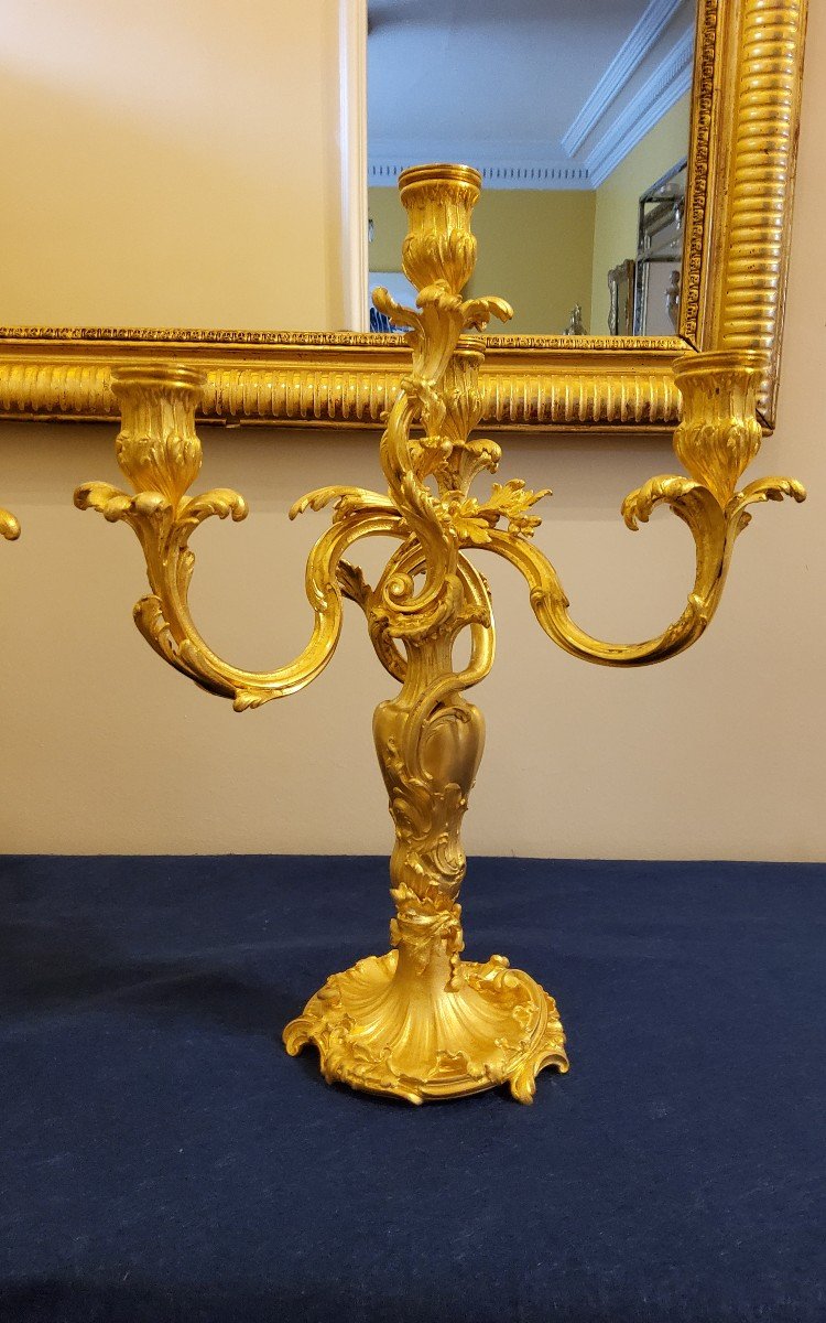 Pair Of Candelabra In Chiselled And Gilded Bronzes Louis XV Style Signed Colin XIX Cty-photo-3