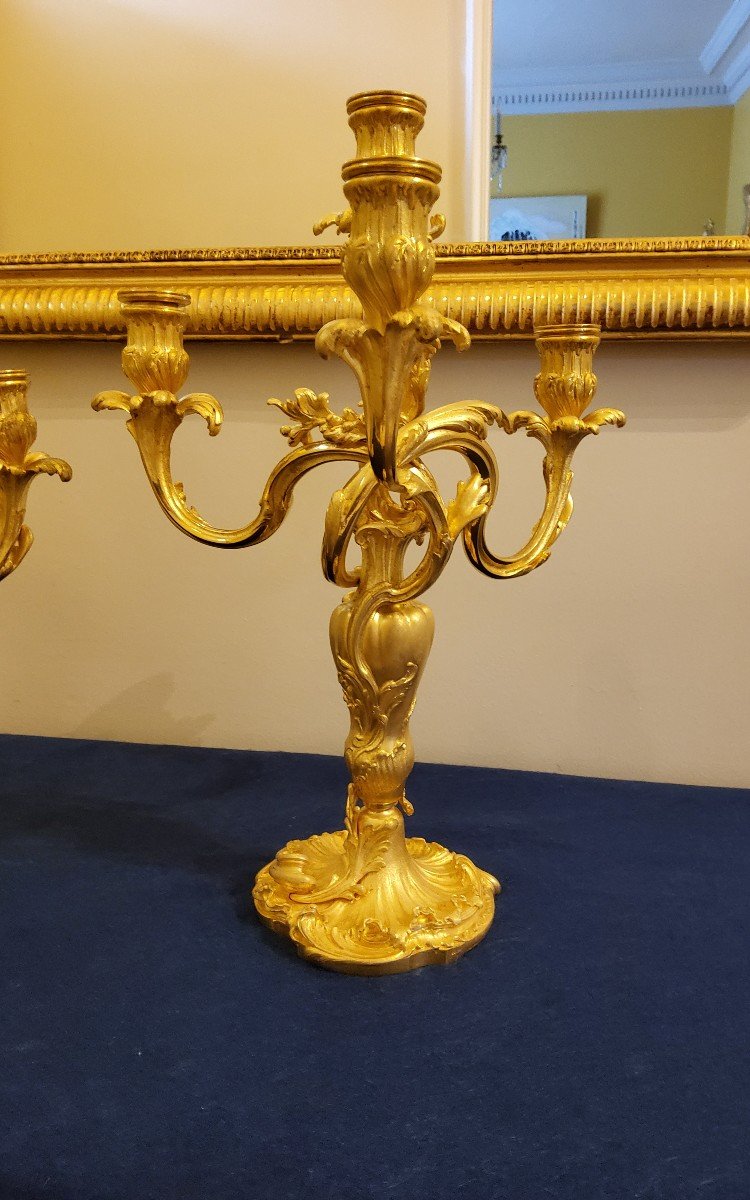 Pair Of Candelabra In Chiselled And Gilded Bronzes Louis XV Style Signed Colin XIX Cty-photo-3