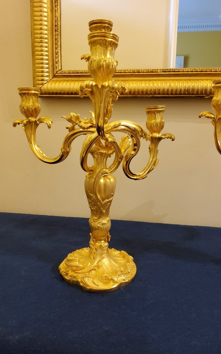 Pair Of Candelabra In Chiselled And Gilded Bronzes Louis XV Style Signed Colin XIX Cty-photo-4