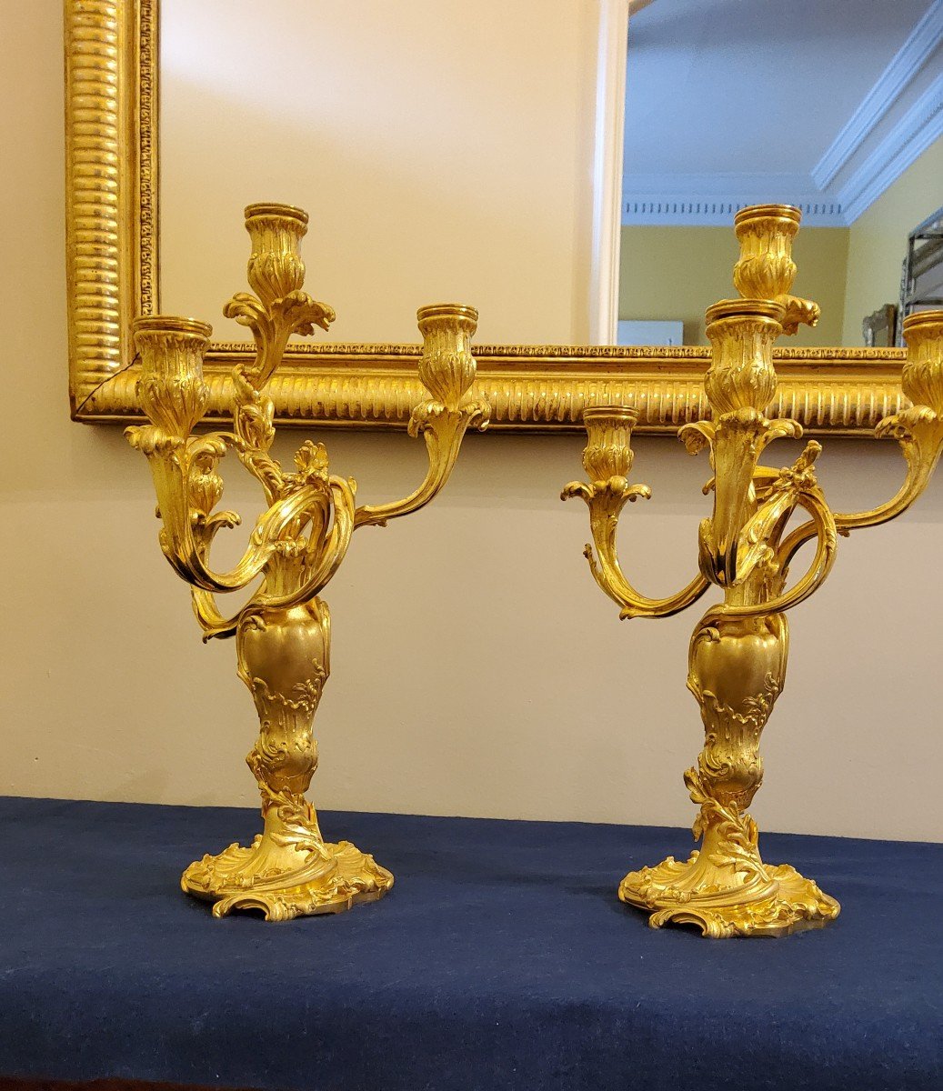 Pair Of Candelabra In Chiselled And Gilded Bronzes Louis XV Style Signed Colin XIX Cty-photo-5
