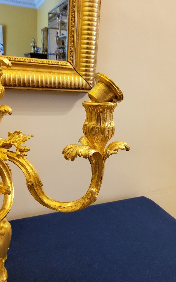 Pair Of Candelabra In Chiselled And Gilded Bronzes Louis XV Style Signed Colin XIX Cty-photo-6