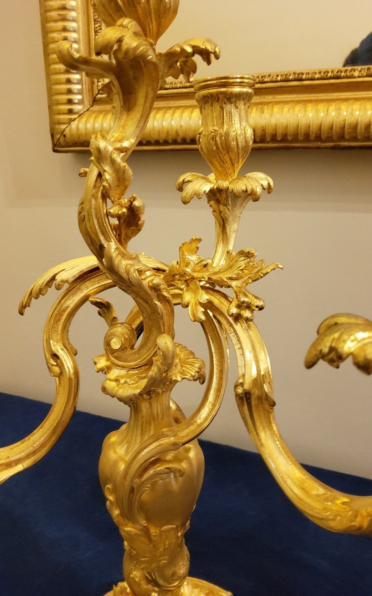 Pair Of Candelabra In Chiselled And Gilded Bronzes Louis XV Style Signed Colin XIX Cty-photo-7