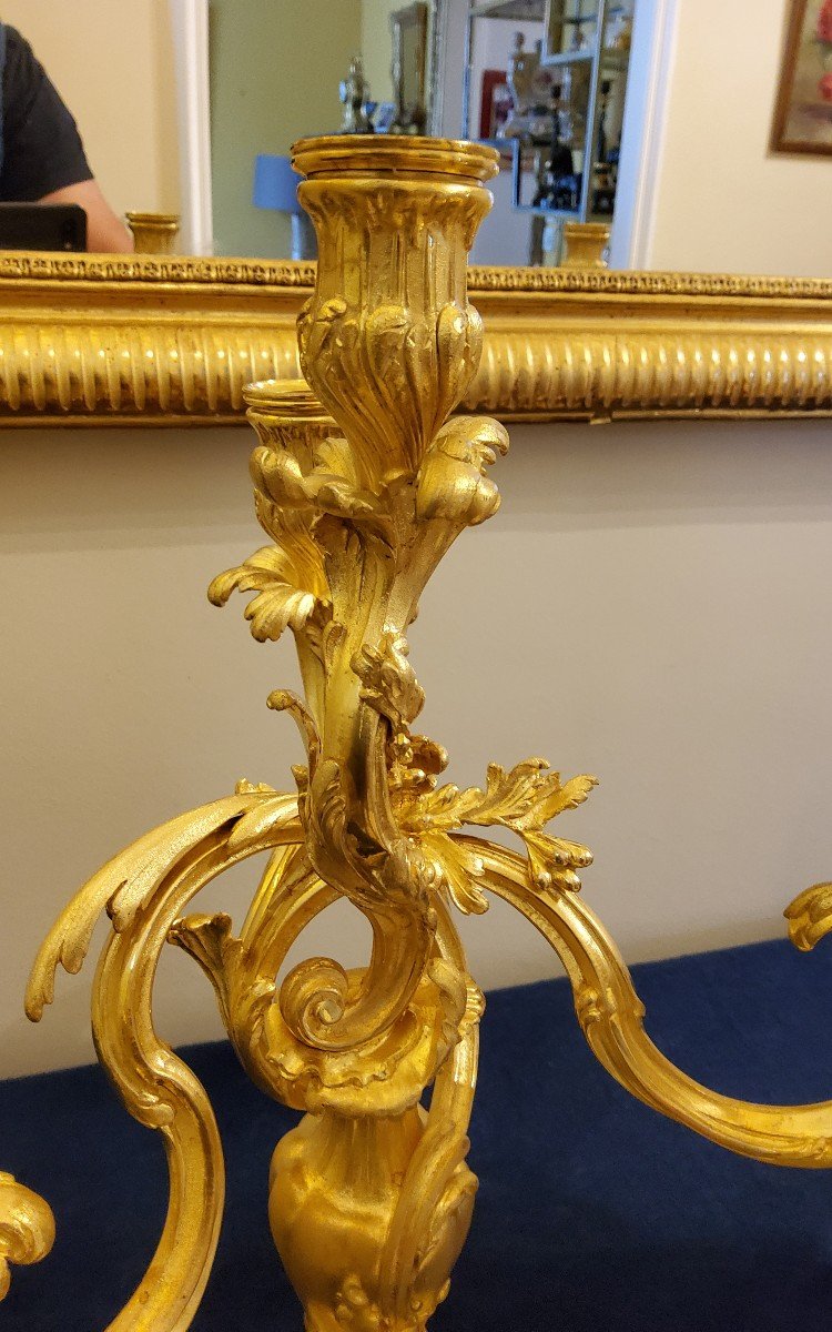 Pair Of Candelabra In Chiselled And Gilded Bronzes Louis XV Style Signed Colin XIX Cty-photo-8
