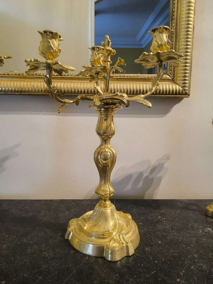 Paire de Candélabres Formant Bougeoirs en Bronze doré ciselé style Rocaille Louis XV XIXéme -photo-3