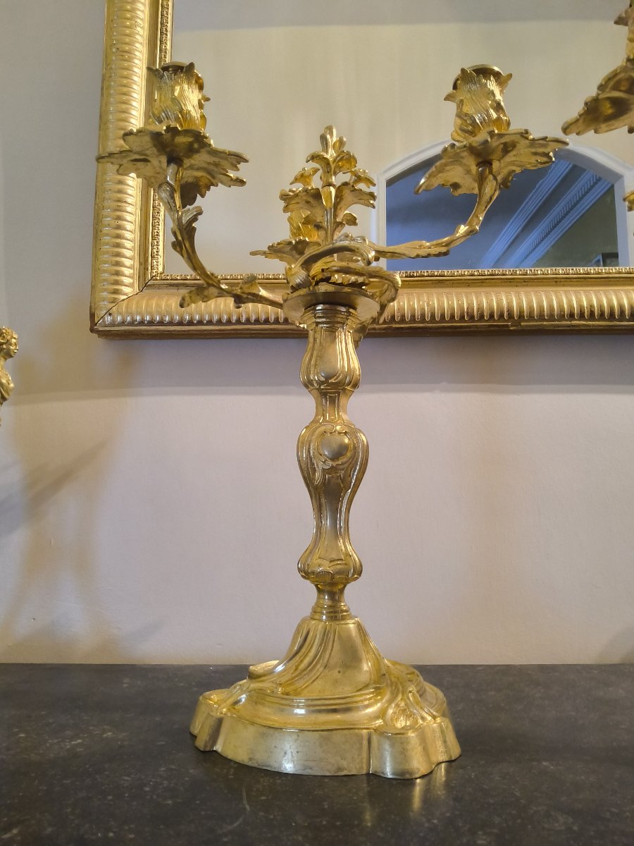 Paire de Candélabres Formant Bougeoirs en Bronze doré ciselé style Rocaille Louis XV XIXéme -photo-7