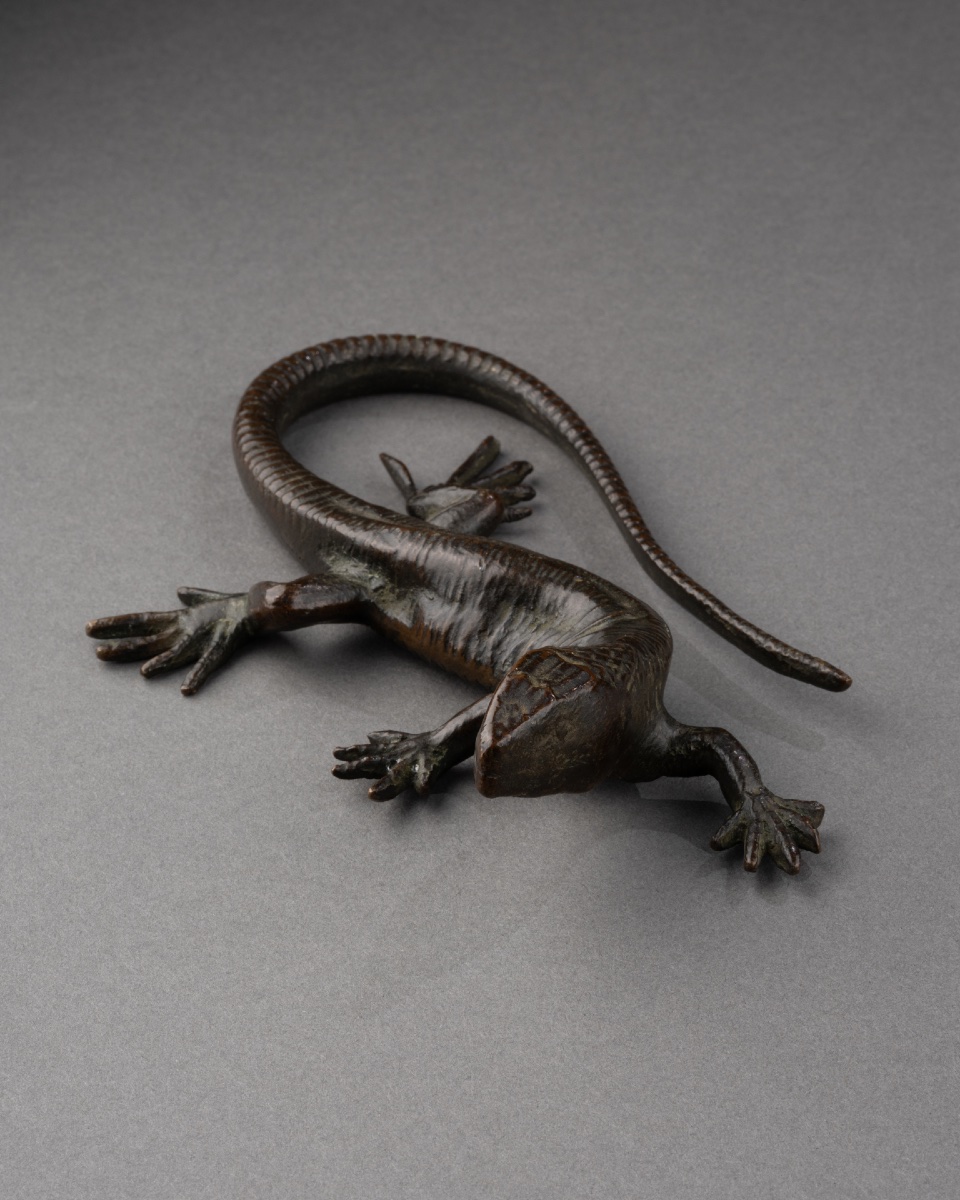 Bronze Salamander - Italy, 17th Century-photo-2
