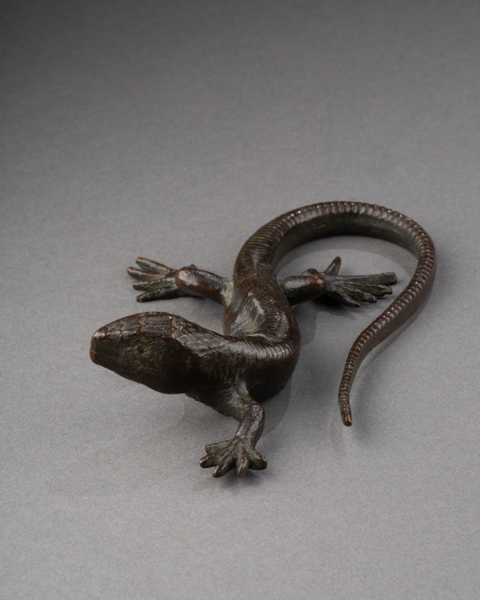 Bronze Salamander - Italy, 17th Century-photo-3