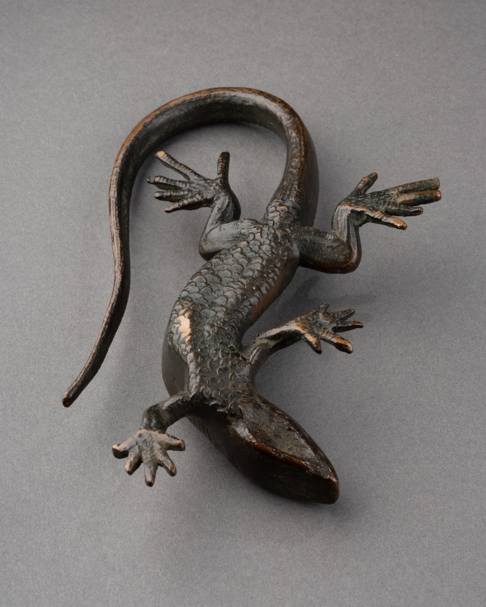 Bronze Salamander - Italy, 17th Century-photo-1