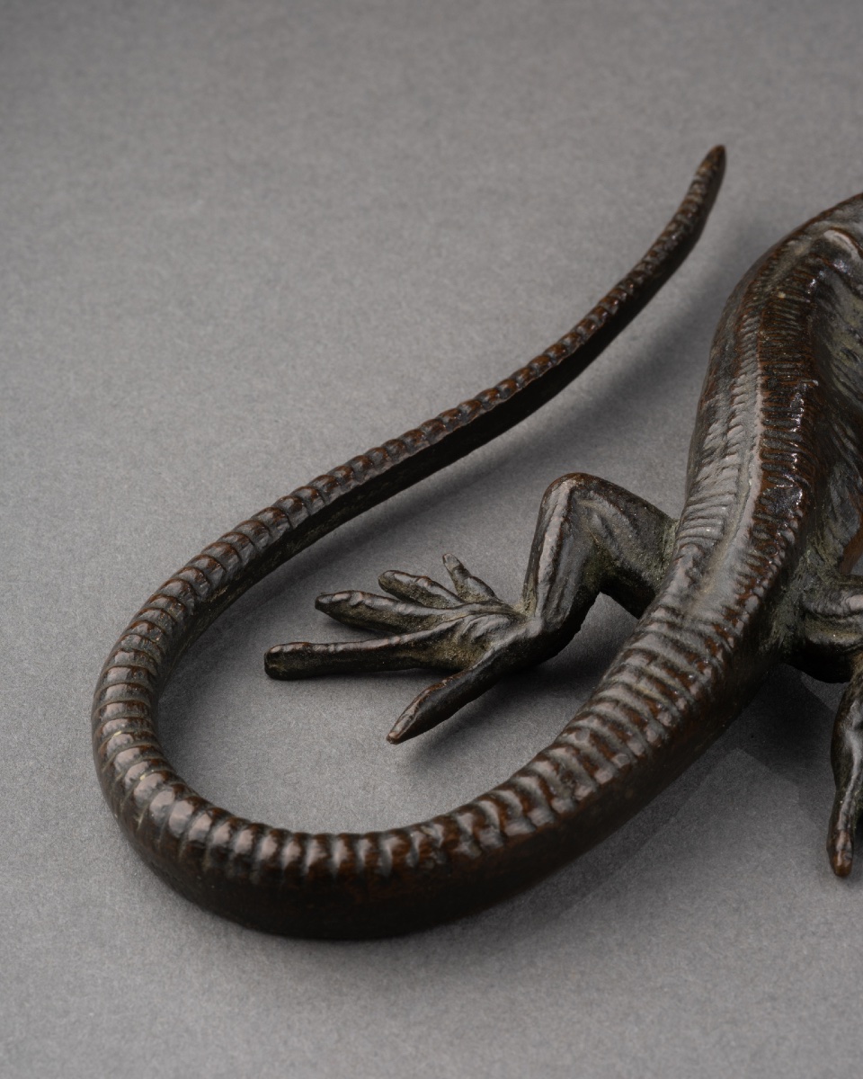 Bronze Salamander - Italy, 17th Century-photo-2