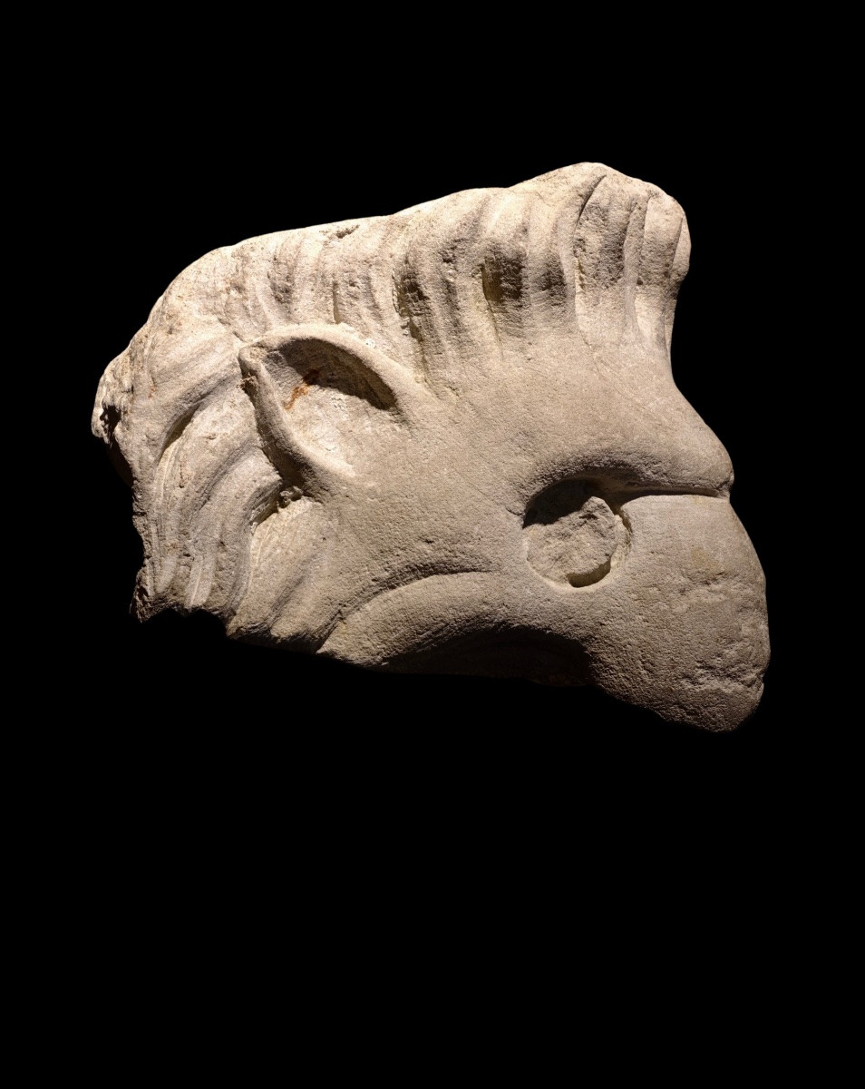 Griffin Head - Italy, 16th Century-photo-4