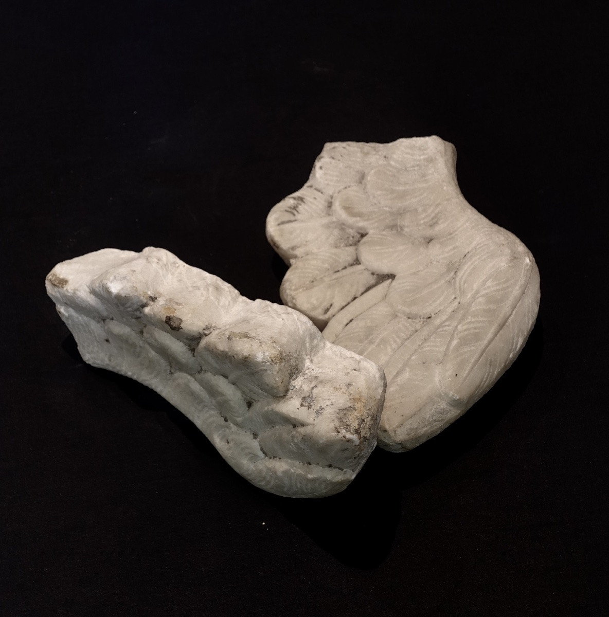 Pair Of Marble Wings - Italy, 18th Century-photo-4