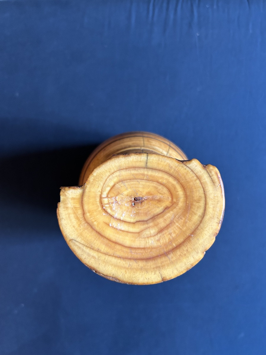 Apothecary's Mortar With Pestle - Indo-portuguese, Probably Goan, 17th Century-photo-4