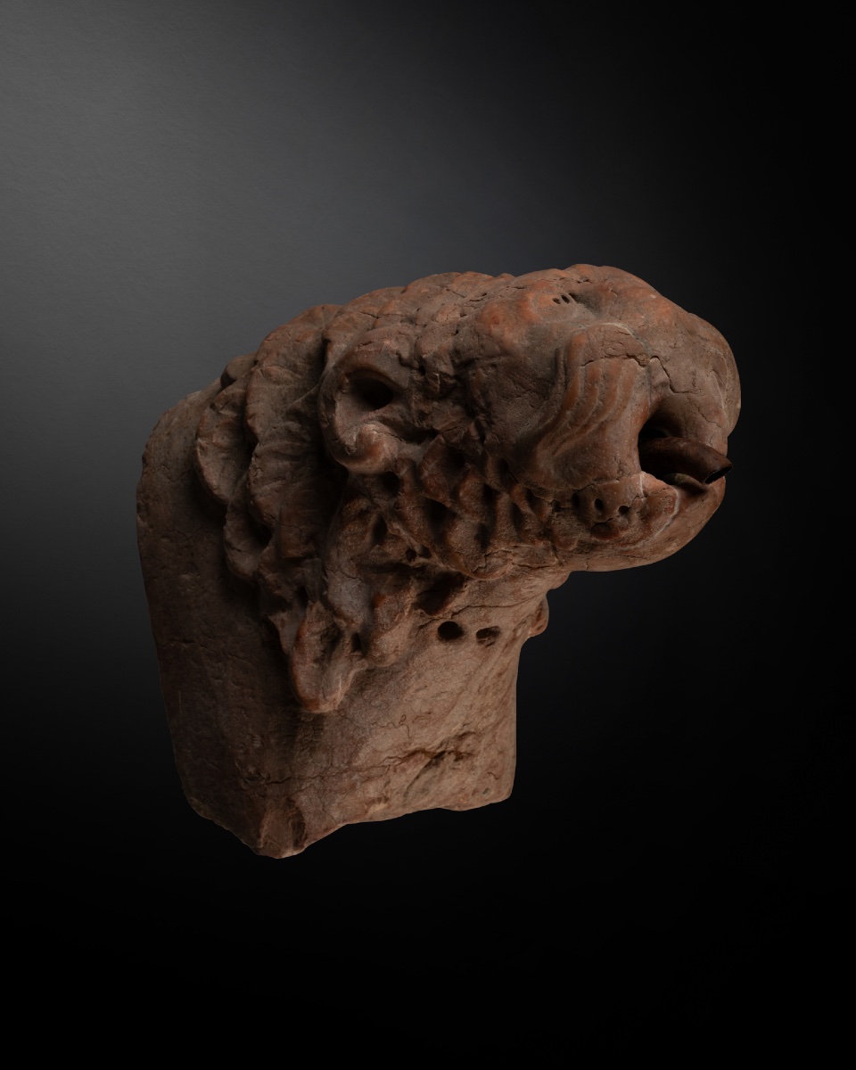 Romanesque Lion Protome - Italy, 12th Century-photo-2