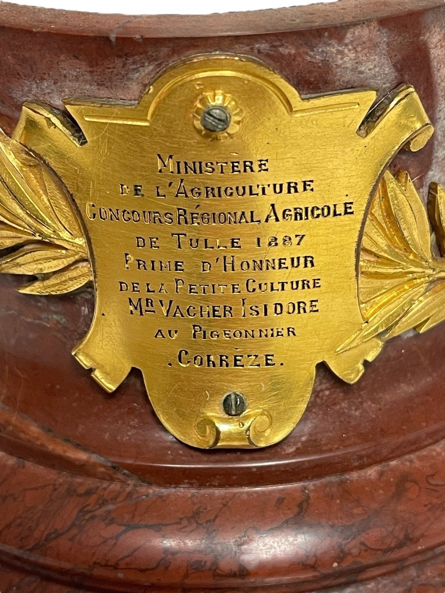 Bronze Argenté Christofle, Trophée Agricole XIXème Siècle -photo-6