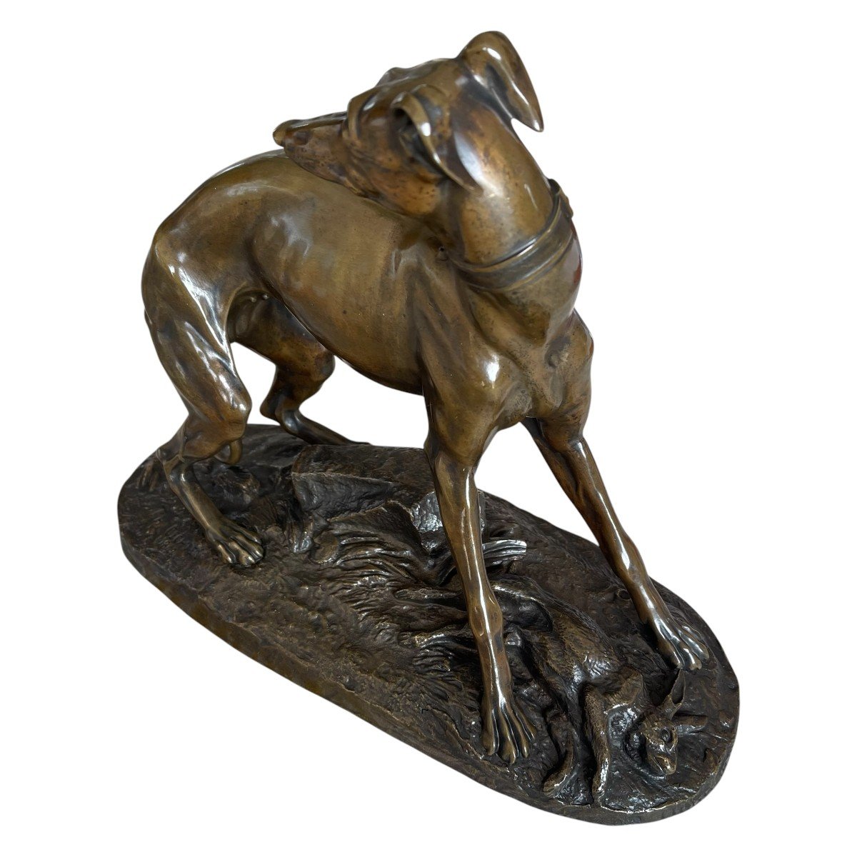 Animal Bronze Théodore Gechter - Bronze Greyhound - Bronze Dog - Hunting Bronze-photo-3