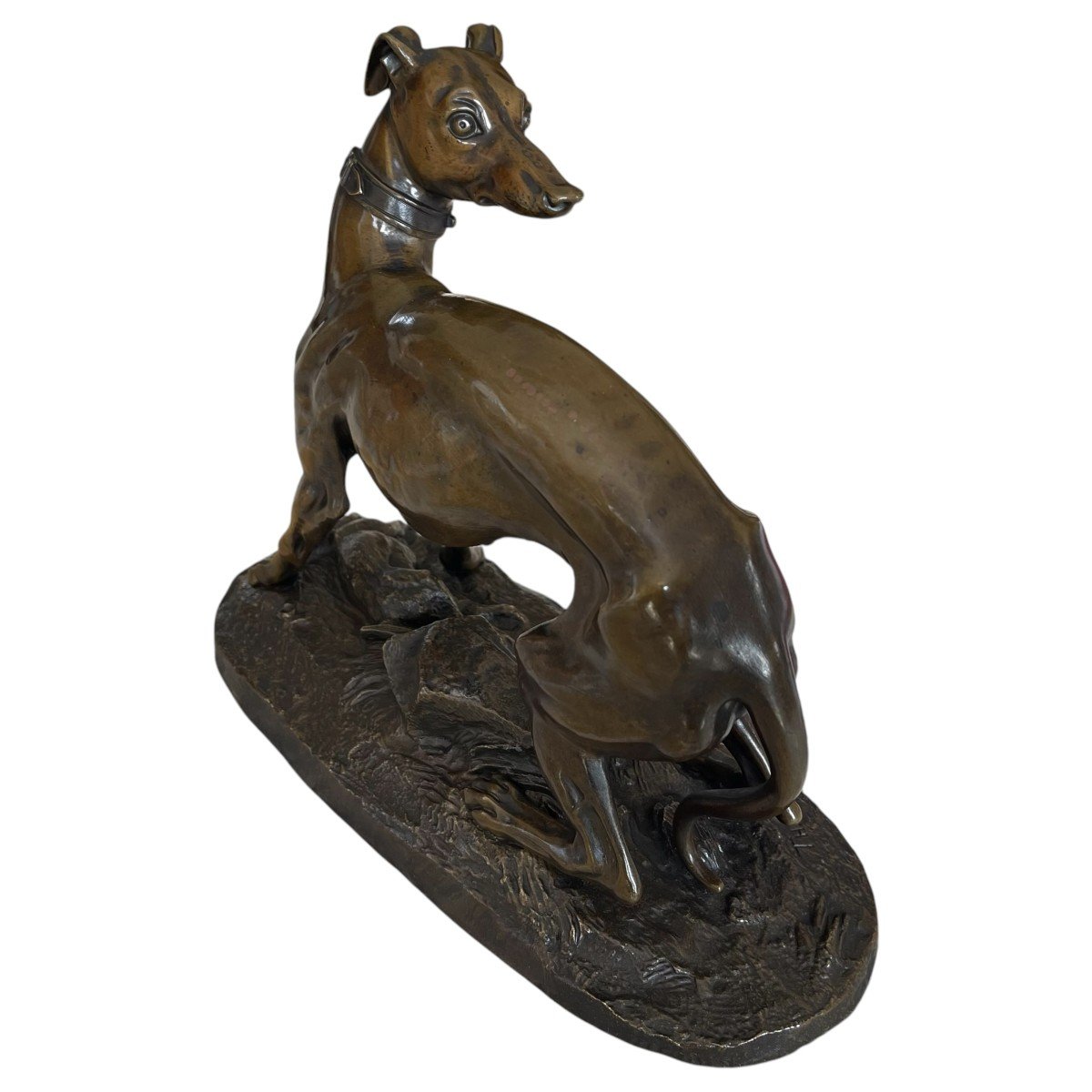 Animal Bronze Théodore Gechter - Bronze Greyhound - Bronze Dog - Hunting Bronze-photo-4