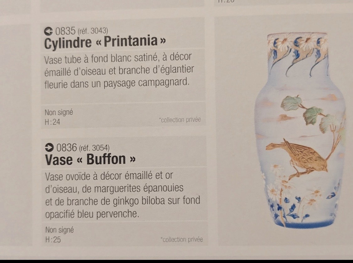 Paire de vases Legras modèle Buffon-photo-7