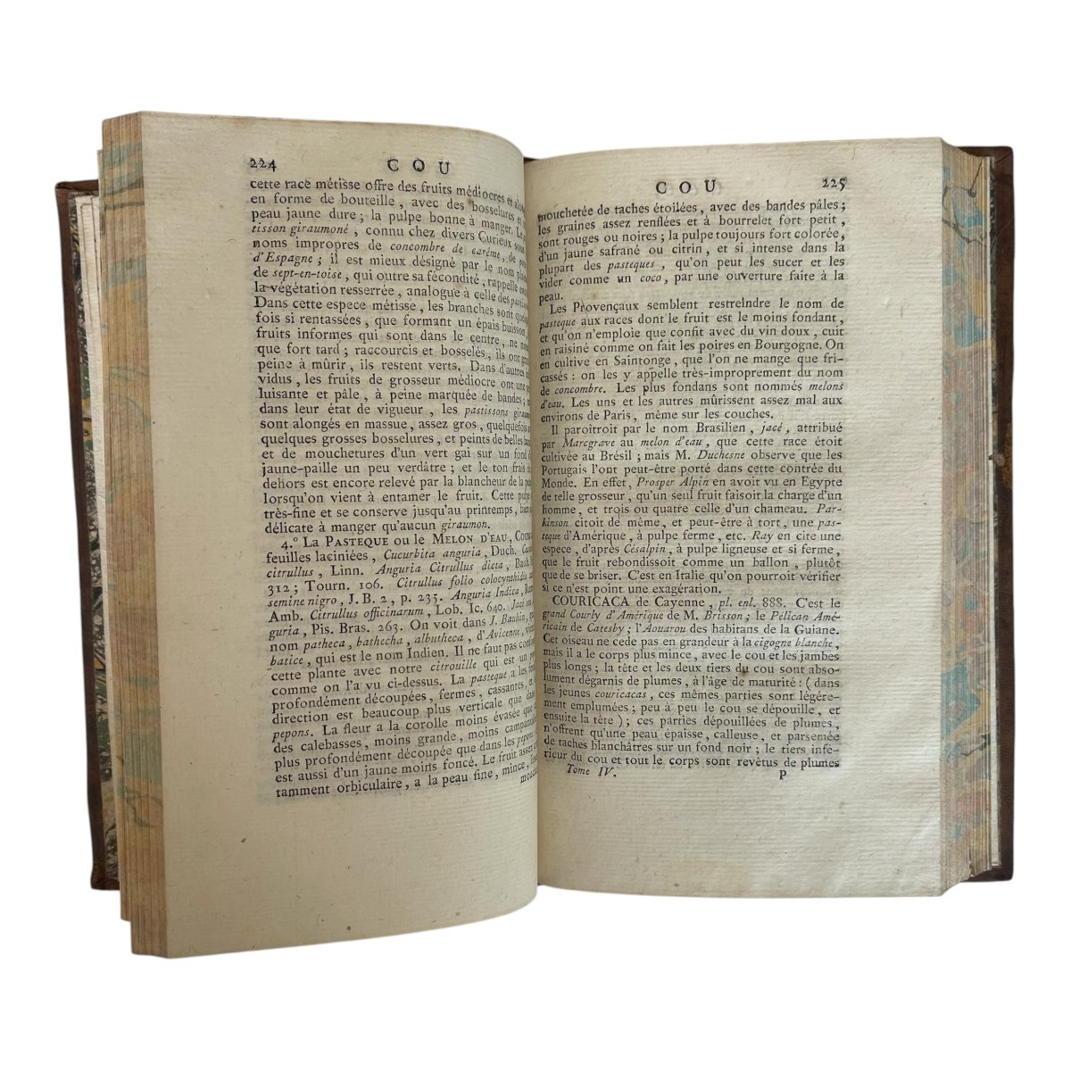 Valmont de Bomare - Dictionnaire d'histoire naturelle - 15 volumes - 1800-photo-6