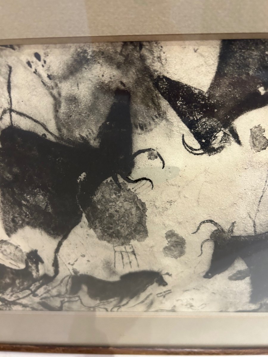 Photo De Fernand Windels Représentant Les Peintures Rupestres De La Grotte De Lascaux  1940/41-photo-3