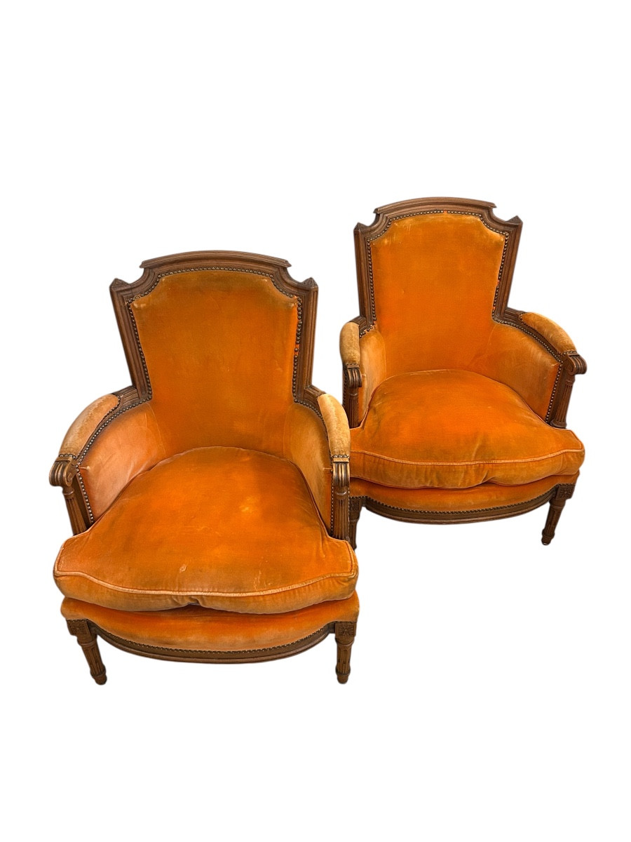 Paire de bergères style Louis XVI - début 20ème - velours
