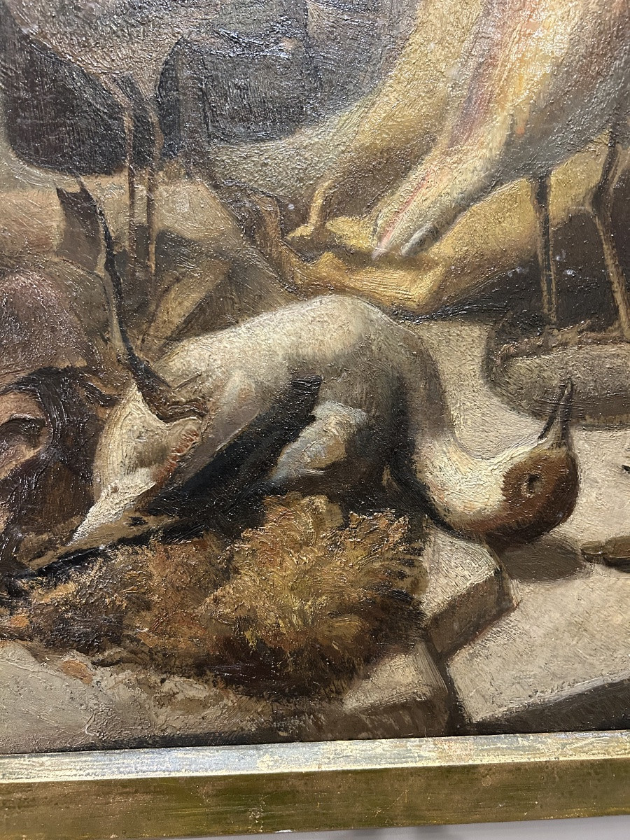 Still Life From A Cabinet Of Curiosities - Taxidermy Workshop - Early 20th Century - Oil On Wood-photo-2