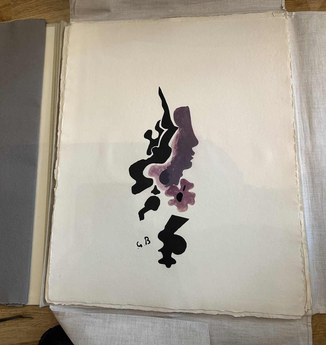 Georges Braque's Portfolio "espaces" By Andreverdet 1957 13 Prints Edition N:87/300-photo-1