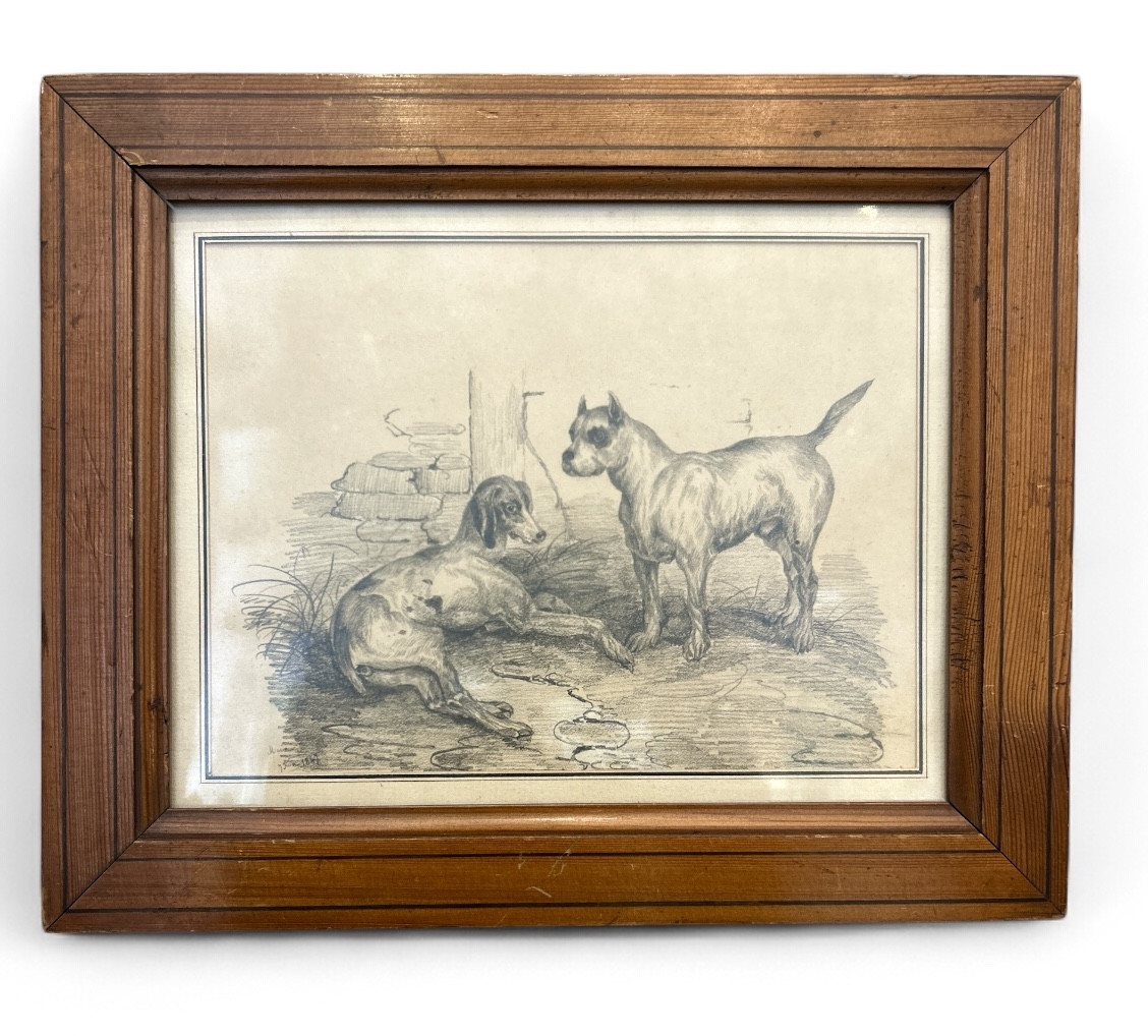 Drawing - Mid 20th Century - Two Dogs