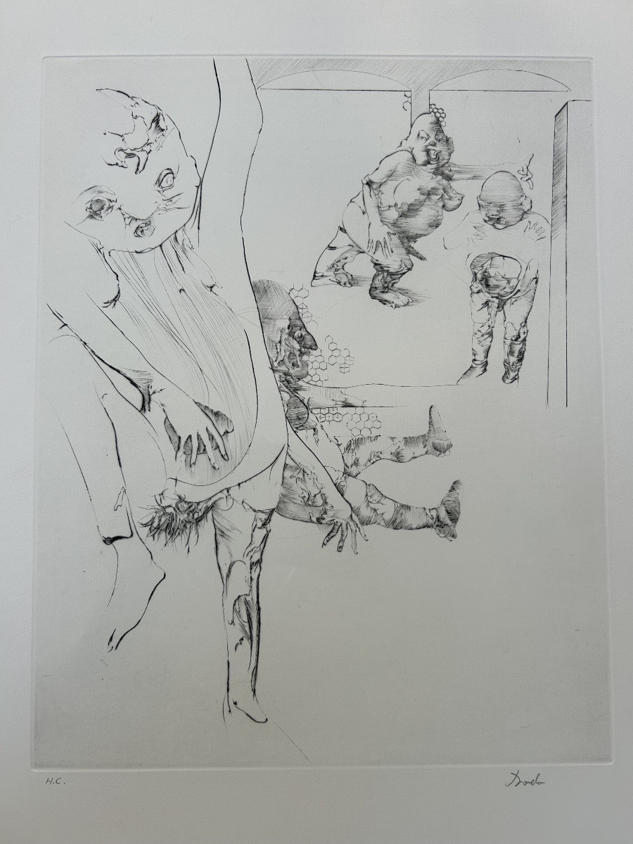 Dado - 20th - 1973 - Drypoint "rhinoceros 1" Hc - 75 Copies-photo-1