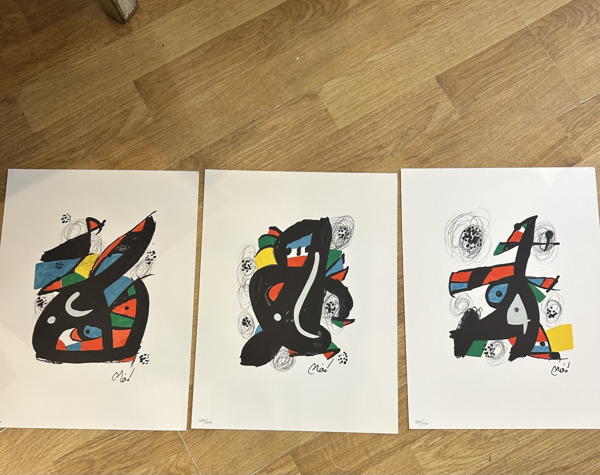 Porte folio « La mélodie acide de Joan Miró publié en 1980. 14 lithographies originales-photo-3