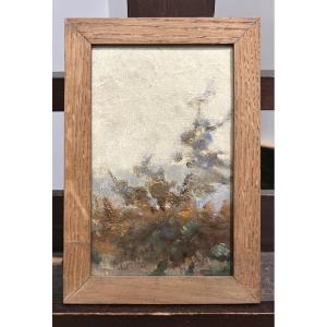 Landscape By Louis Cabié, French Painter, 19th/20th Century. Oil On Cardboard.