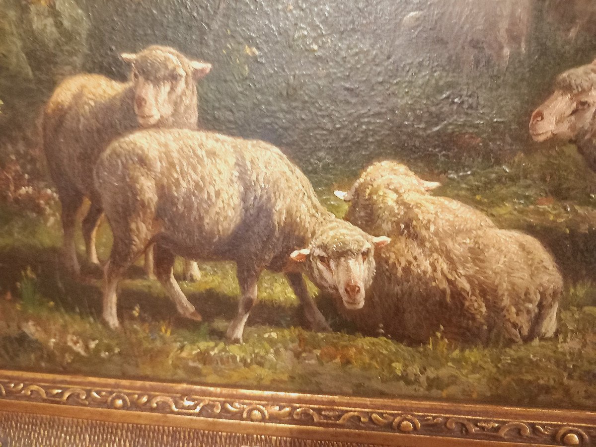 Tableau Troupeau de Moutons - Signé Ceramano - 1829-1909-photo-2
