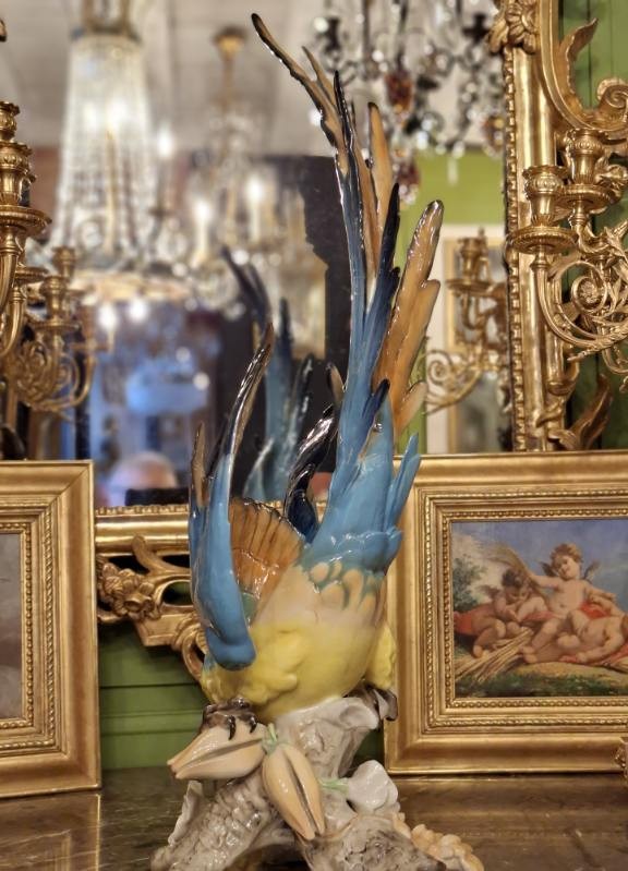 Ara Bleu en Porcelaine-photo-2