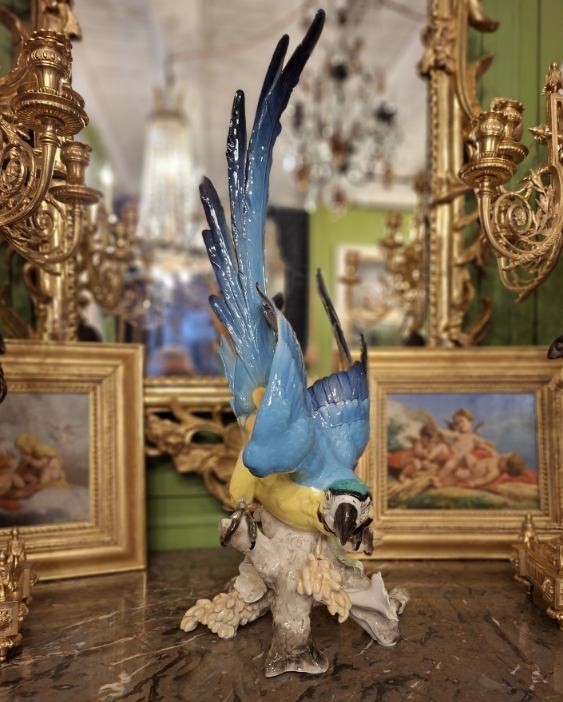 Ara Bleu en Porcelaine-photo-1