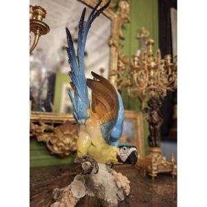 Ara Bleu en Porcelaine