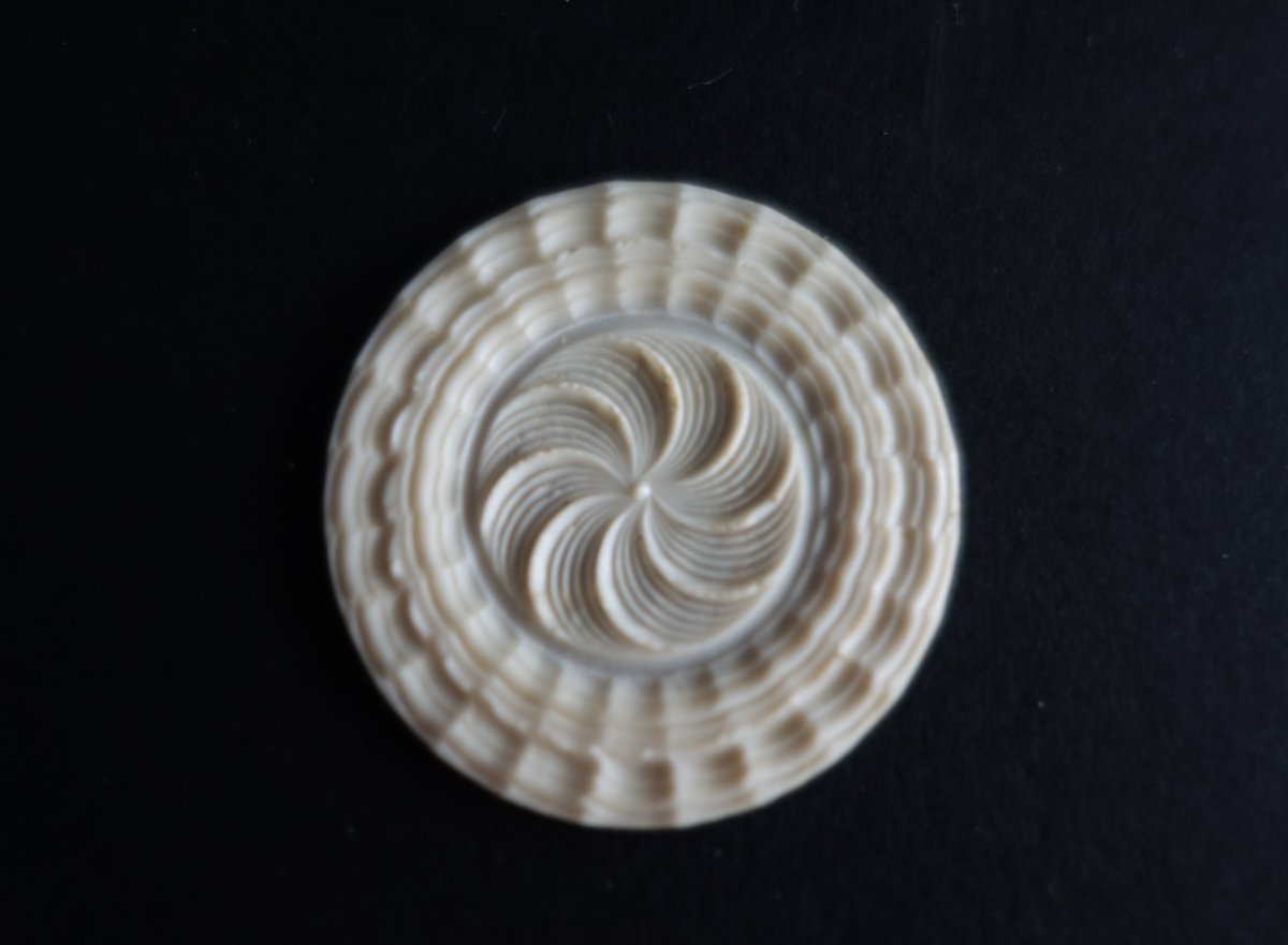 Ivory Guilloché Game Token, Germany Lxv