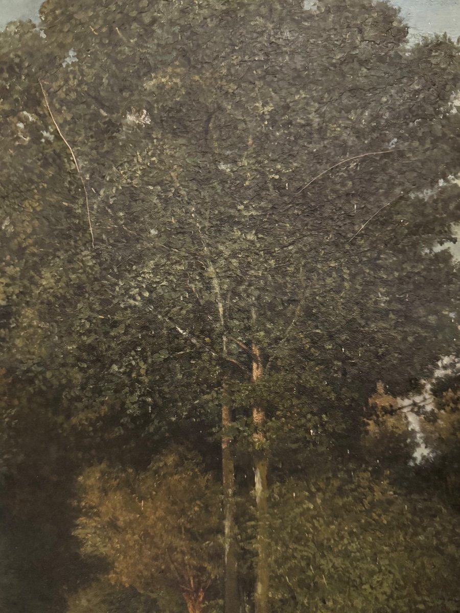 Picnic By The Water By Eugène Bataille-photo-1