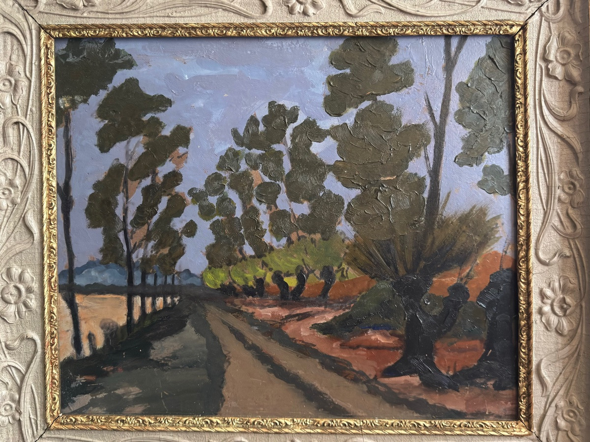 Tree-lined Country Road-photo-2