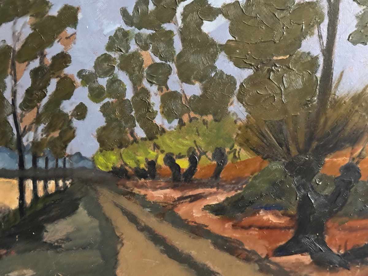 Tree-lined Country Road-photo-4