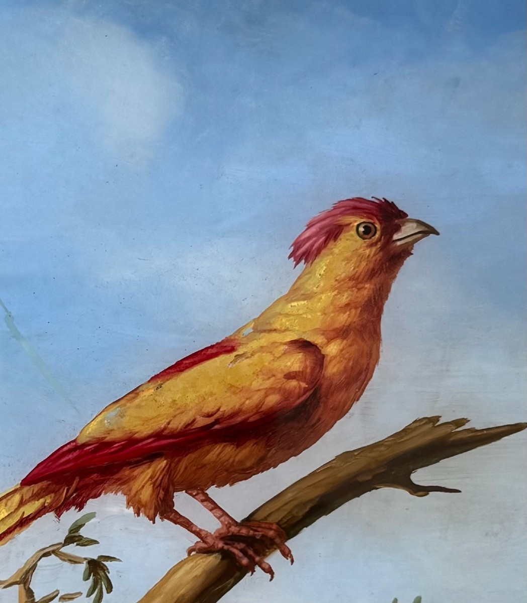Peinture sur verre , oiseau exotique -photo-4