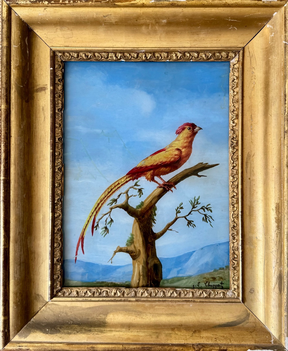 Peinture sur verre , oiseau exotique 