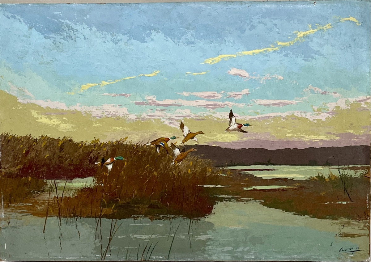 Ducks  -photo-2