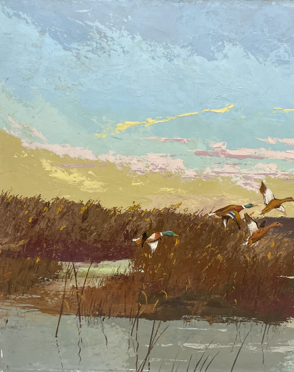 Ducks  -photo-4