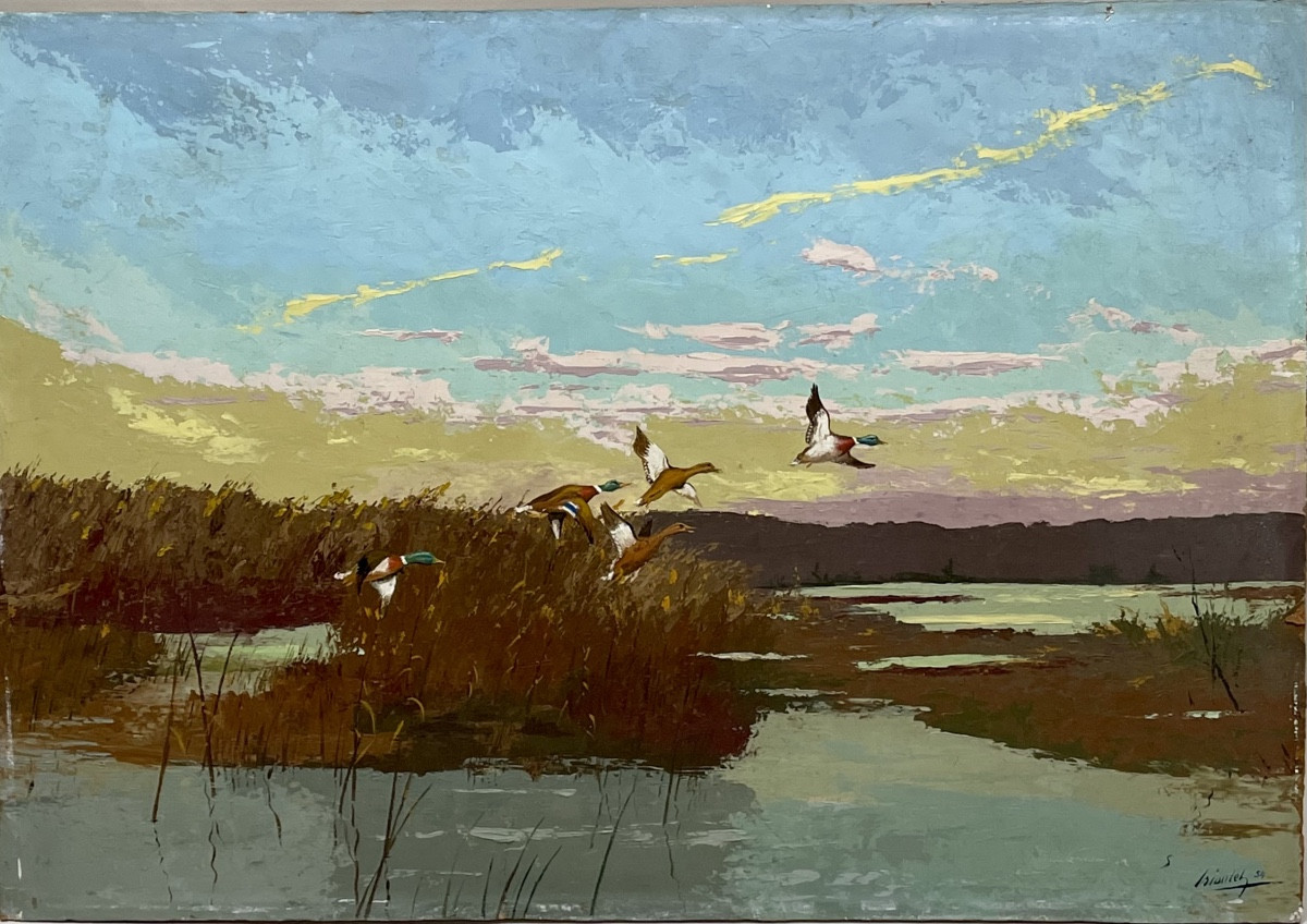 Ducks  