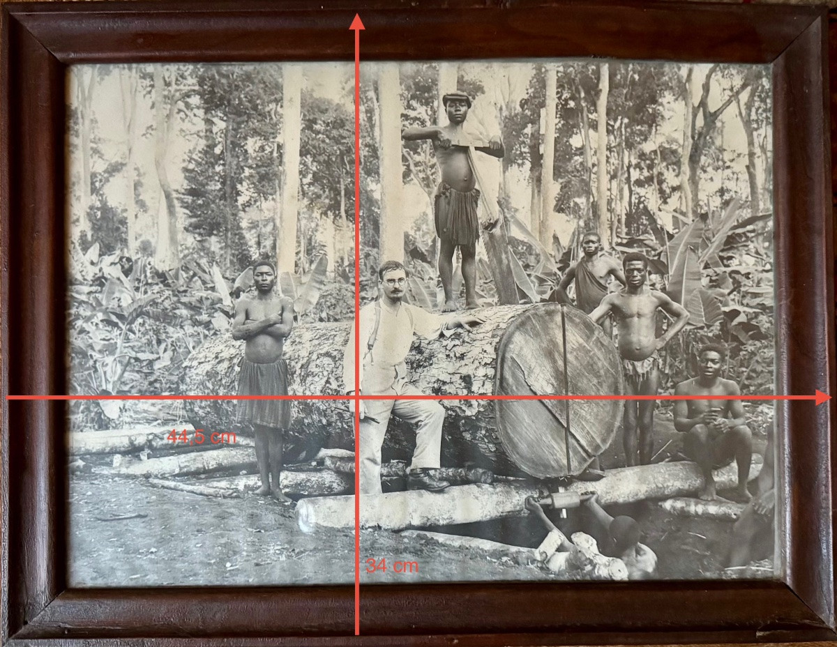 L’exploitation forestière au temps des colonies -photo-2