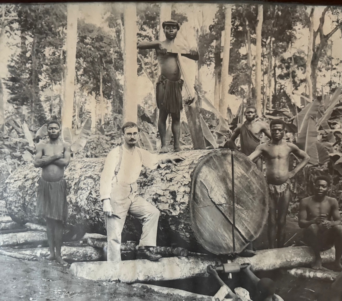L’exploitation forestière au temps des colonies -photo-3