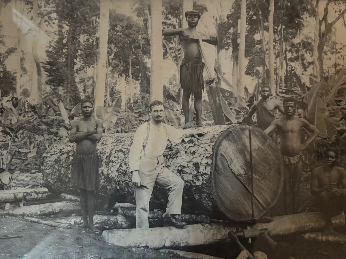 L’exploitation forestière au temps des colonies -photo-4